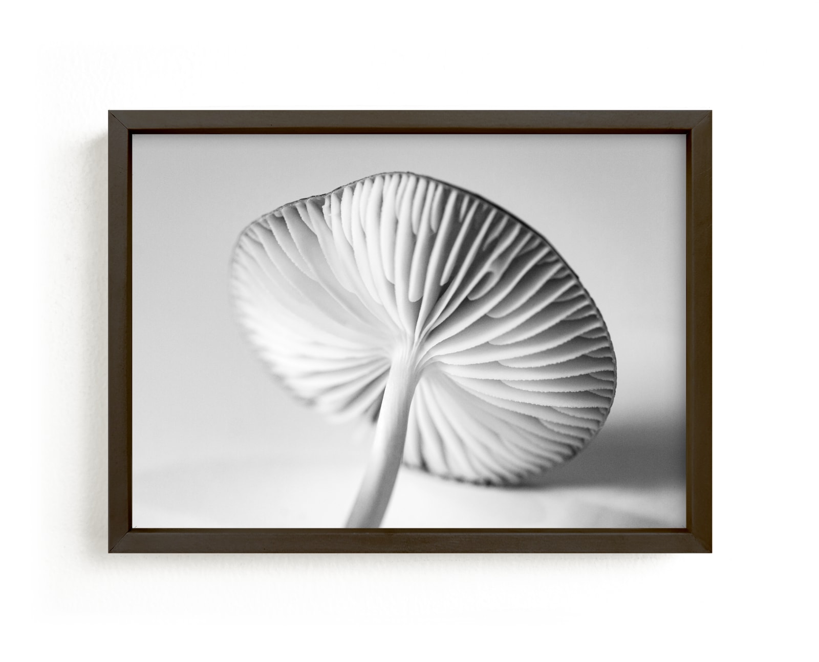 "Mushroom Found 2" by Alexis Arnold in beautiful frame options and a variety of sizes.