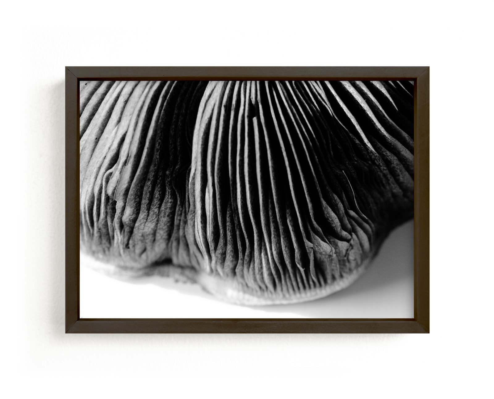 "Ripples of a Mushroom" by Alexis Arnold in beautiful frame options and a variety of sizes.