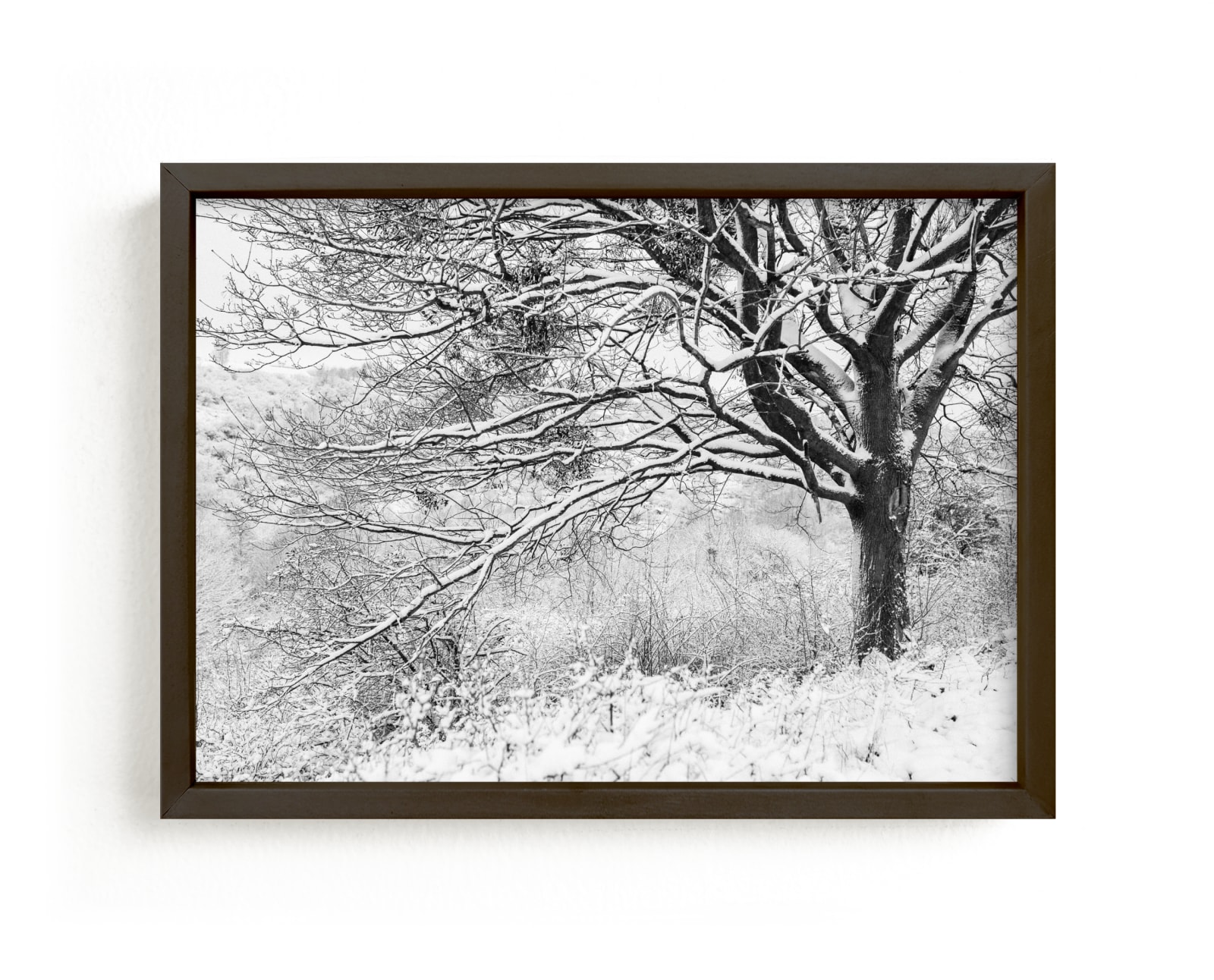 "BLACK TREES R II" by Lying on the grass in beautiful frame options and a variety of sizes.