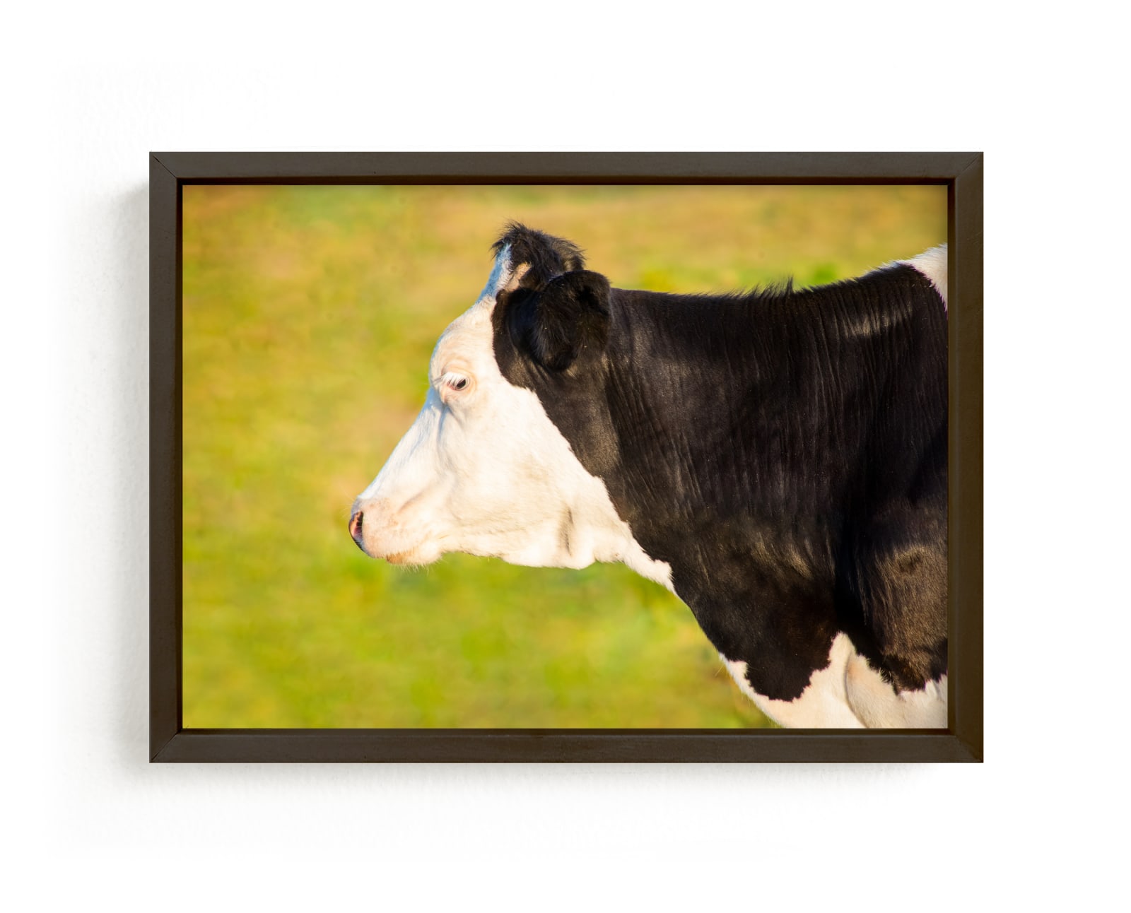"Cow profile" by Lying on the grass in beautiful frame options and a variety of sizes.