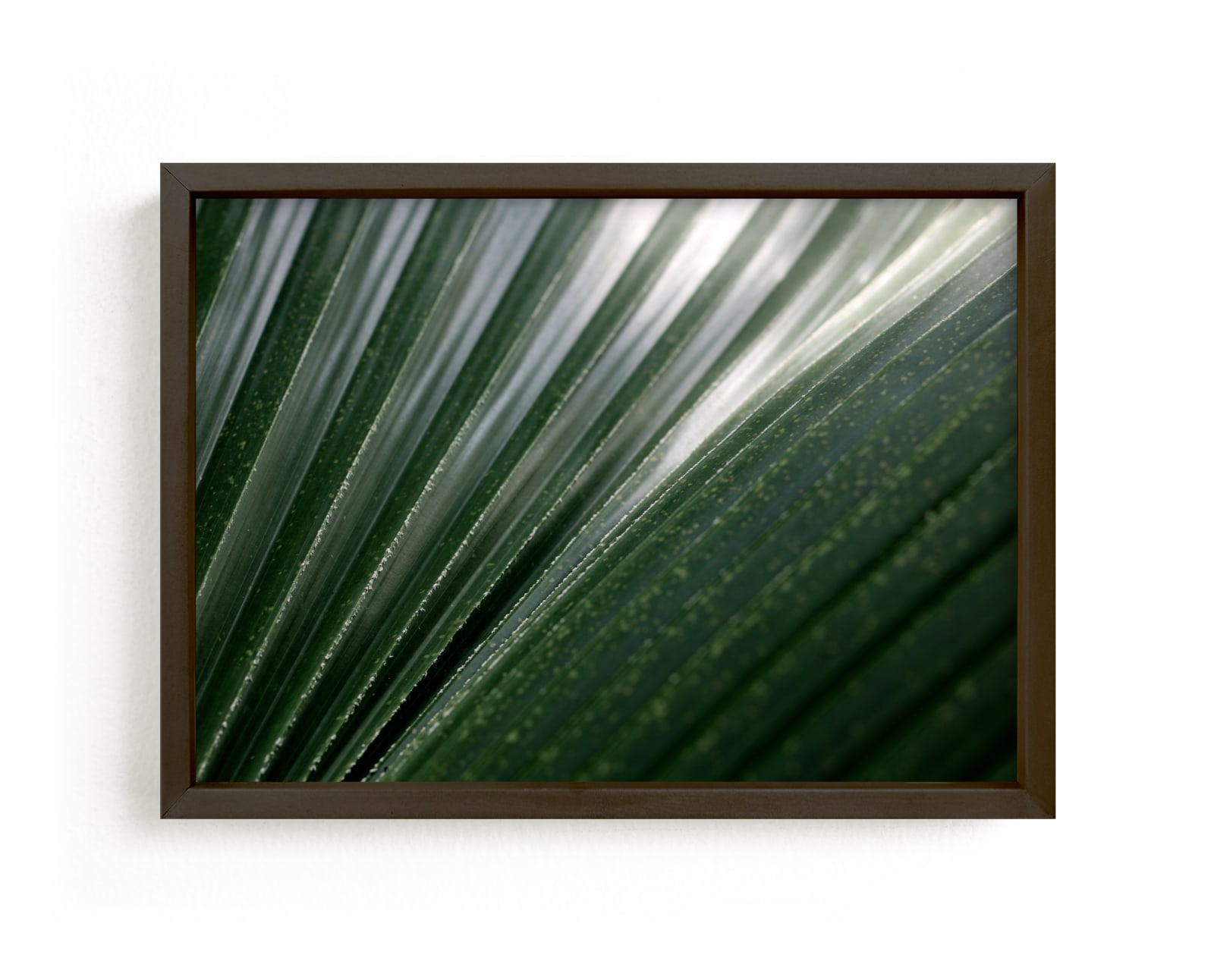 "Incline" by Janelle Wourms in beautiful frame options and a variety of sizes.
