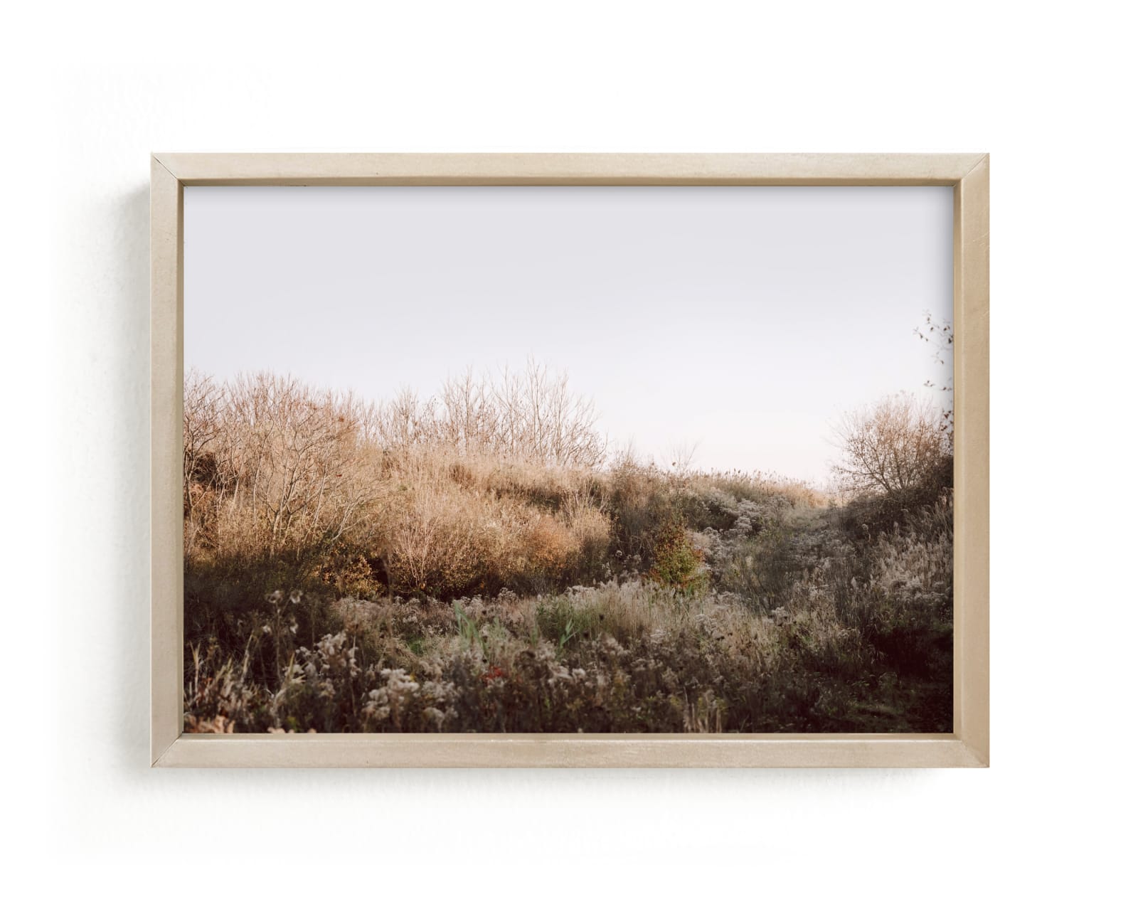 "The Preserve" - Limited Edition Art Print by Robin Ott in beautiful frame options and a variety of sizes.