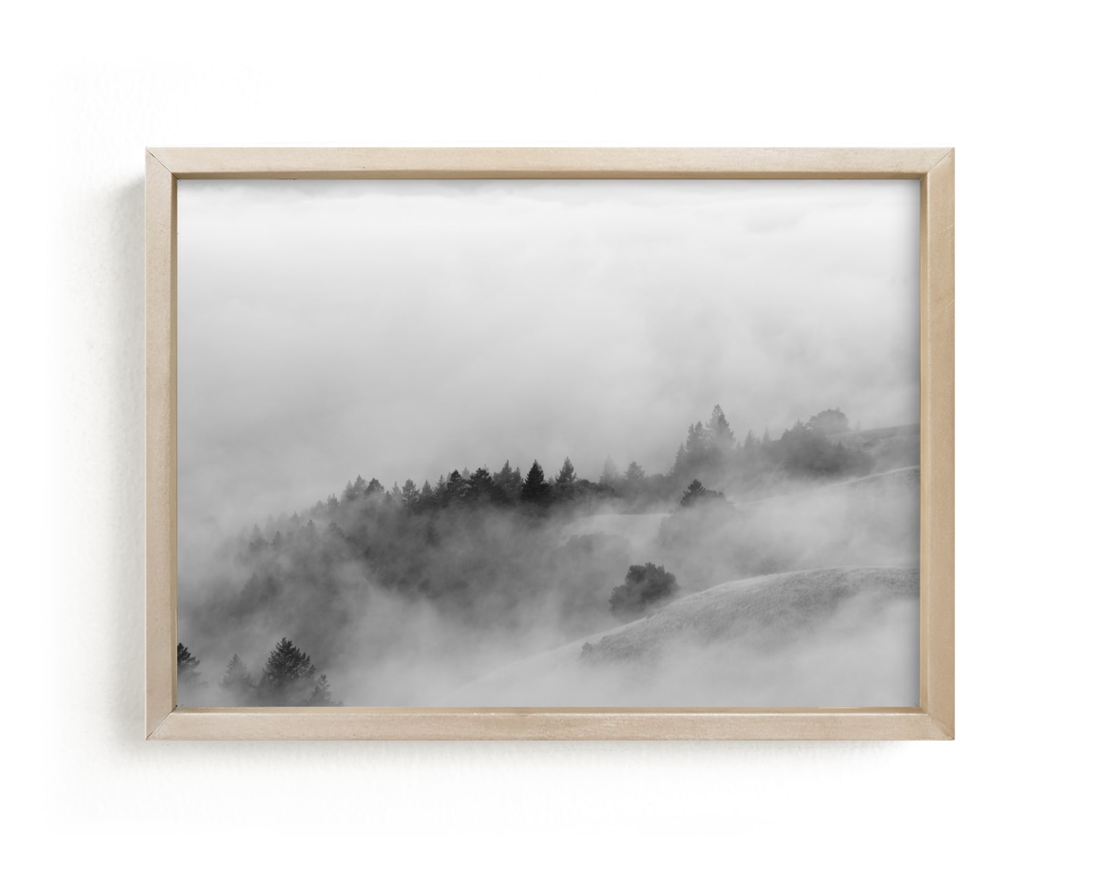 "Summer Fog" - Limited Edition Art Print by Tania Medeiros in beautiful frame options and a variety of sizes.