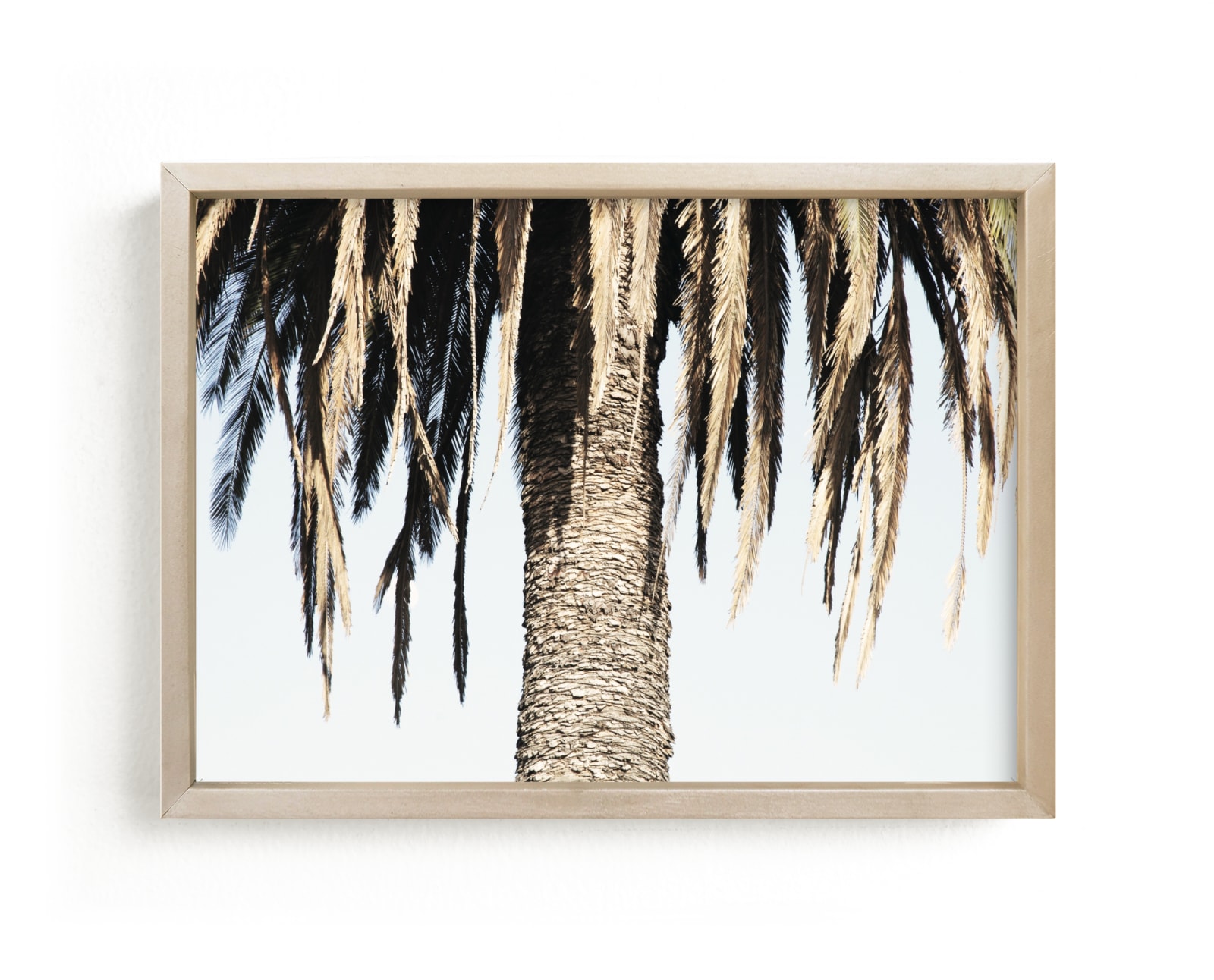 "Hanging Palms" - Limited Edition Art Print by Elan Alvarez Sherman in beautiful frame options and a variety of sizes.