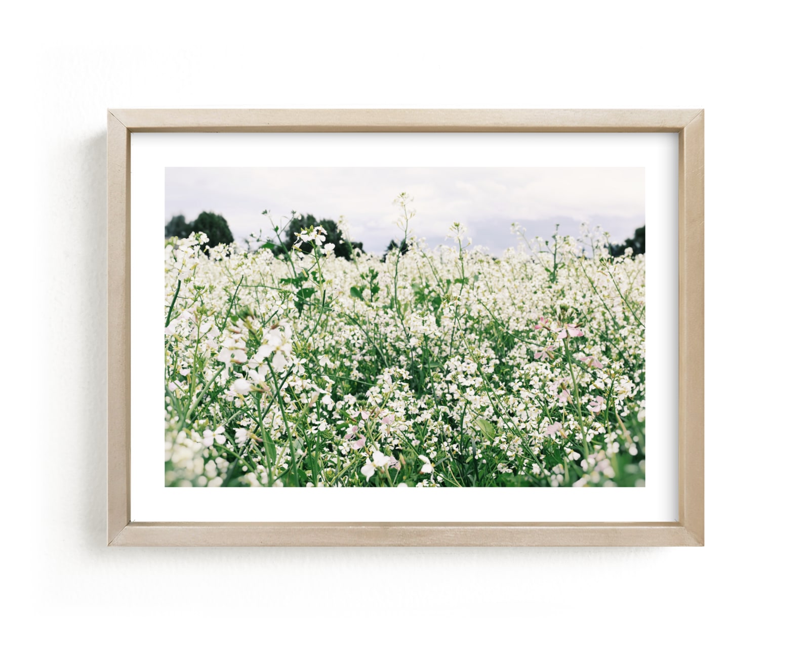 "Dream Field" by Morgan Kendall in beautiful frame options and a variety of sizes.