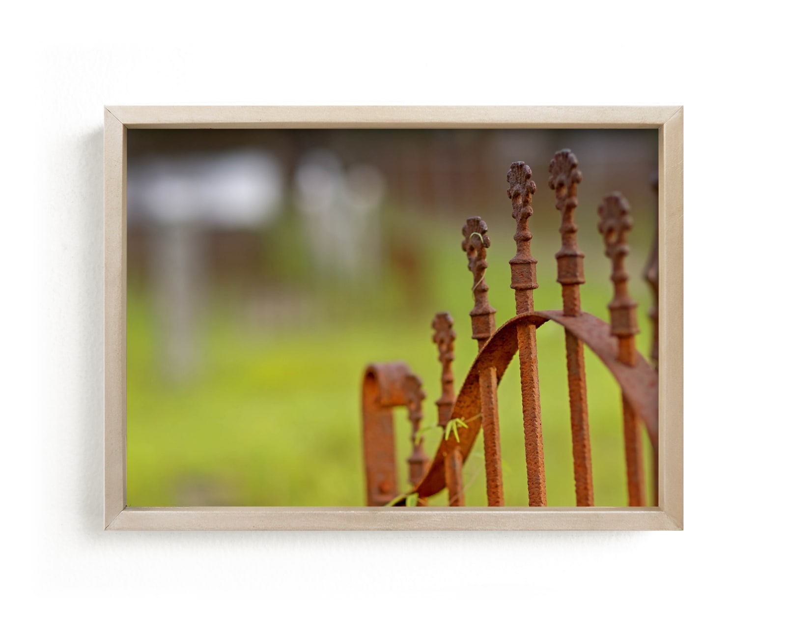 "Rusty Iron Fence" - Art Print by Mary Ann Glynn-Tusa in beautiful frame options and a variety of sizes.