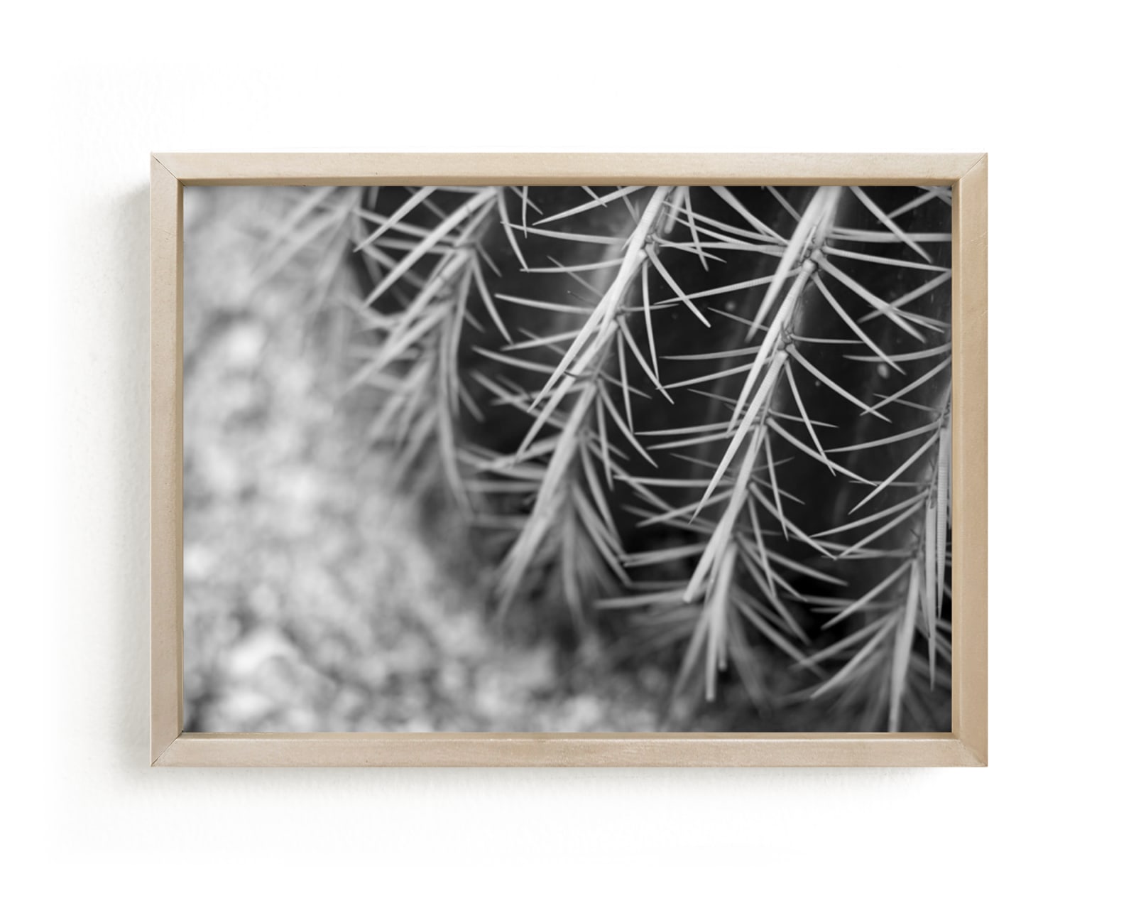 "Slow Grow" - Art Print by Owl and Toad in beautiful frame options and a variety of sizes.