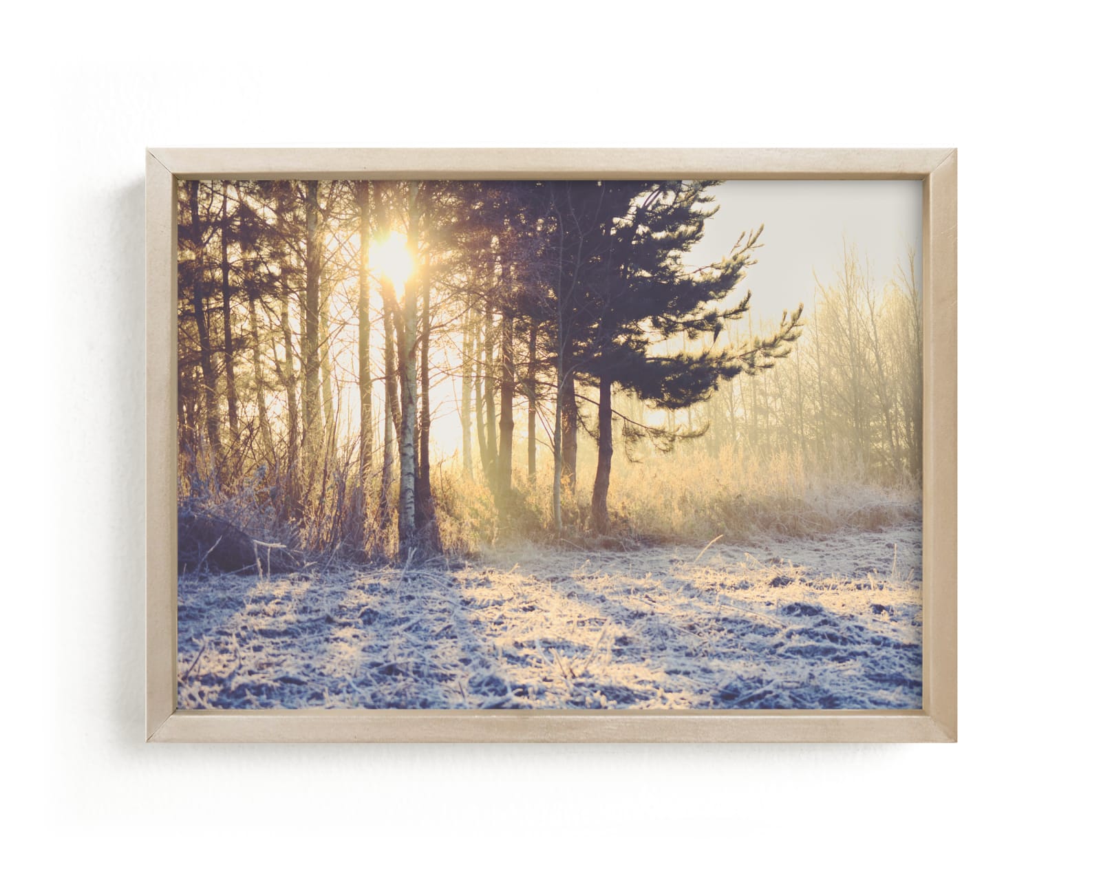 "WINTER LIGHT" - Art Print by Stacy Cooke in beautiful frame options and a variety of sizes.