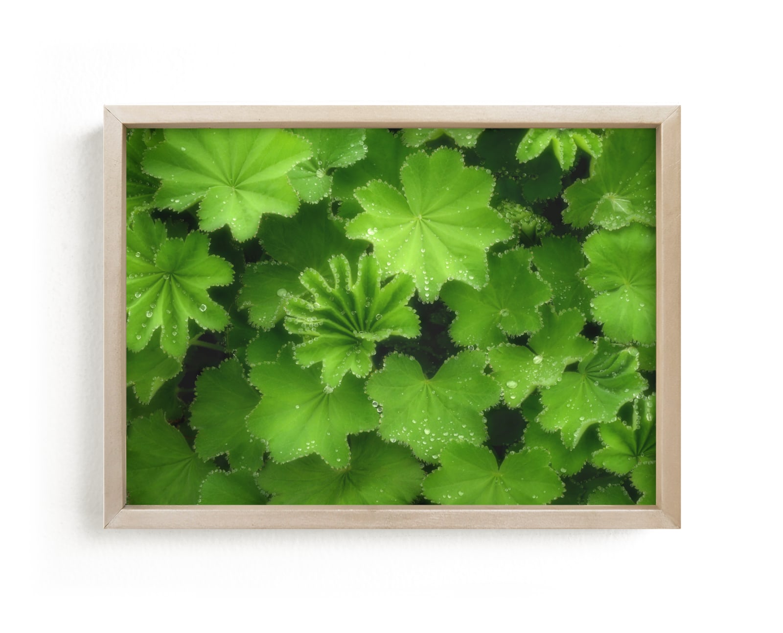 "Magical Sparkling Leaves" by Julia Preminger in beautiful frame options and a variety of sizes.