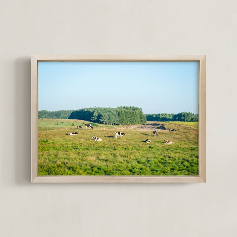 Pasture of cows II