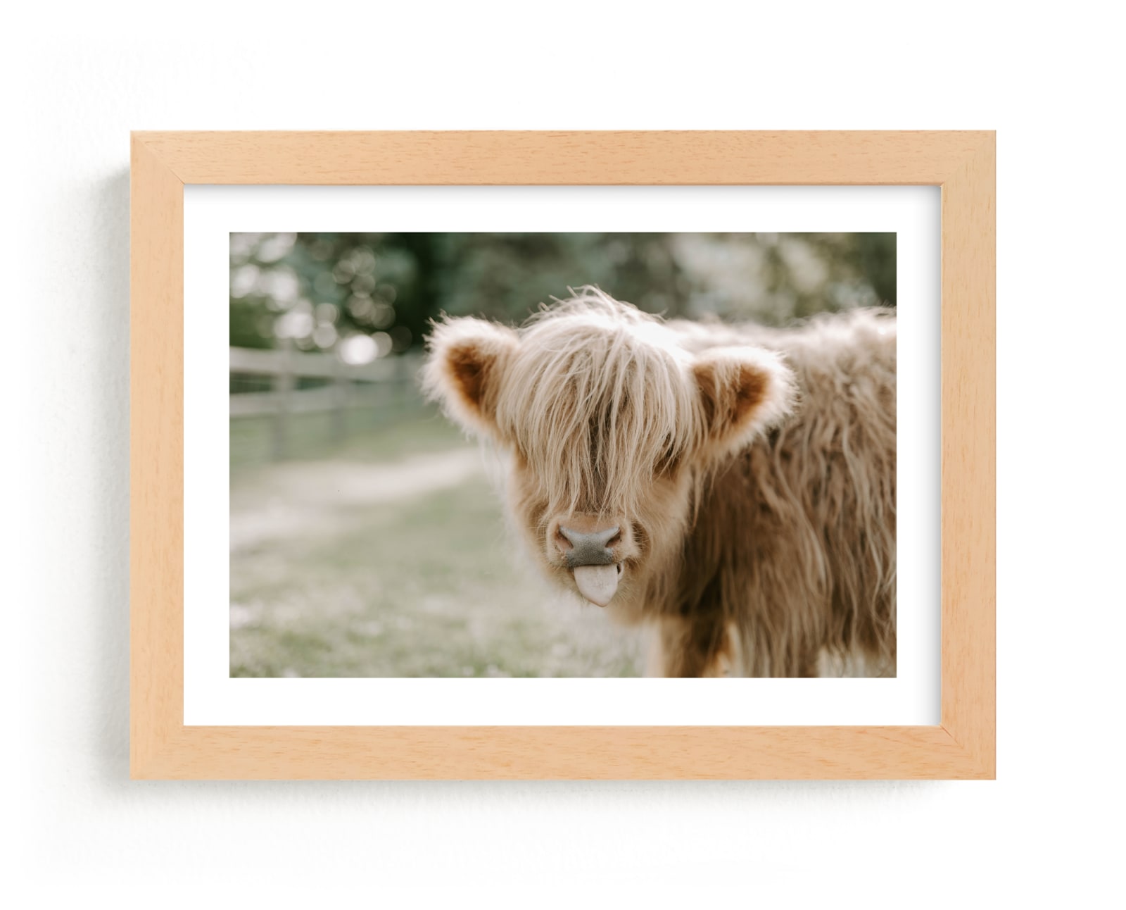 "The Silly Little Cow" - Limited Edition Art Print by Chelsea Victoria in beautiful frame options and a variety of sizes.