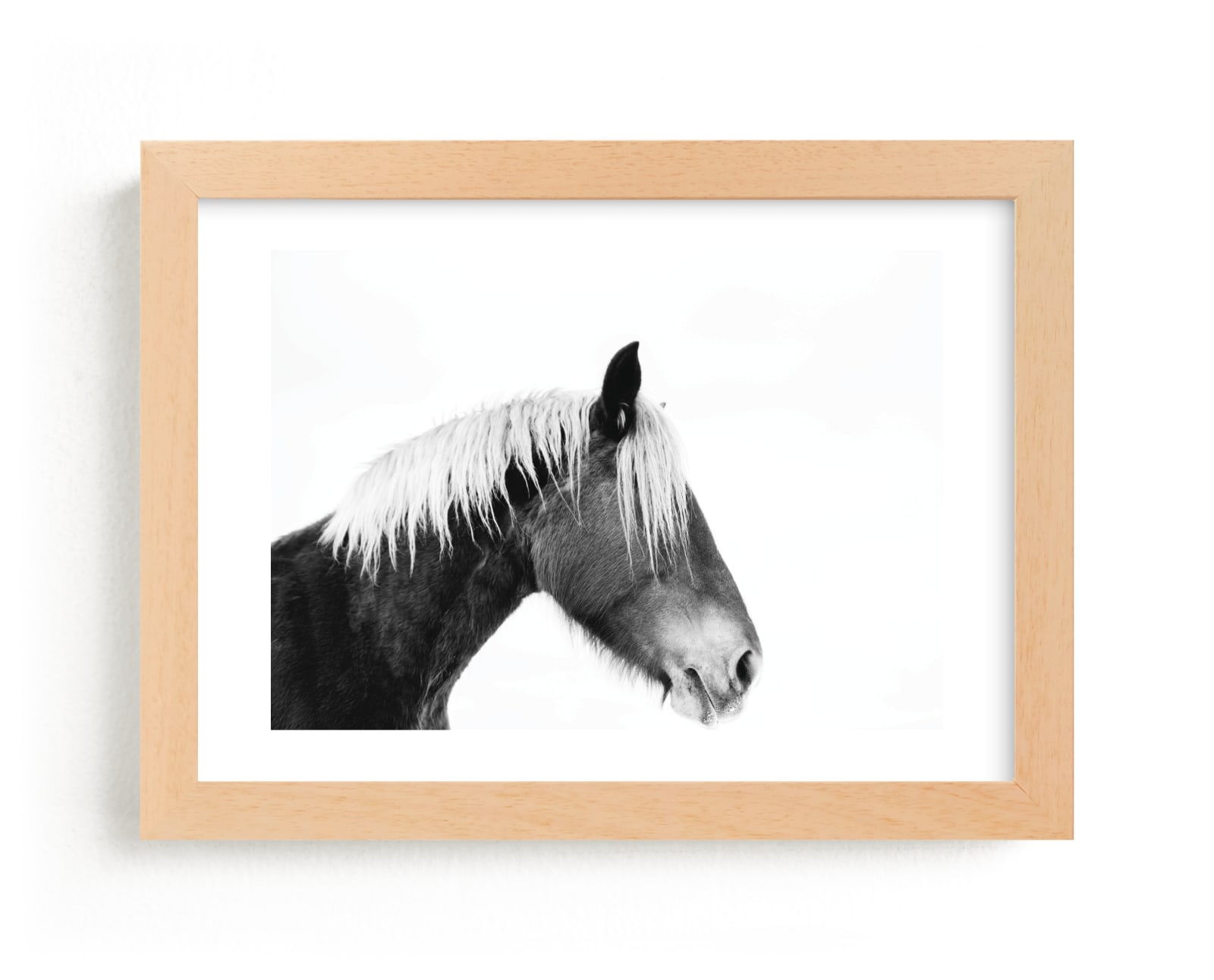 "Ansel" - Limited Edition Art Print by Amy Carroll in beautiful frame options and a variety of sizes.