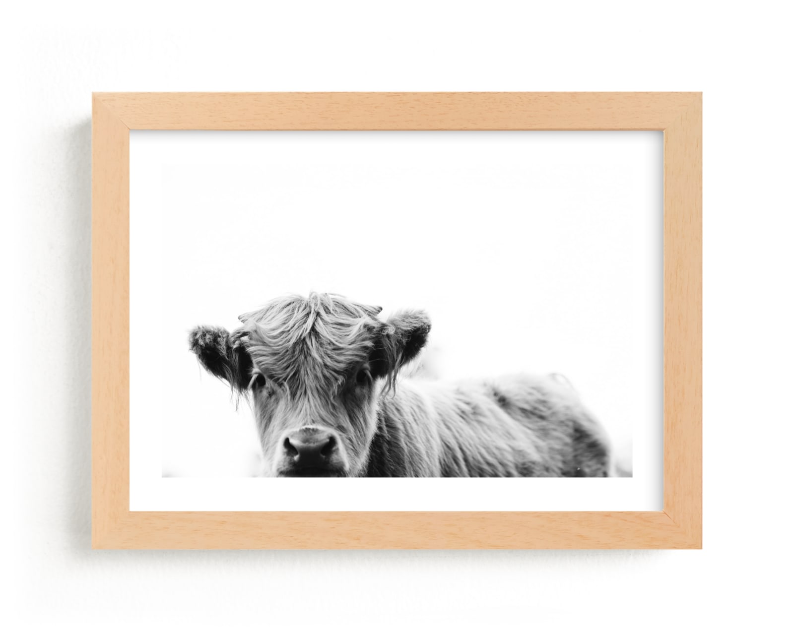 "Leon" - Limited Edition Art Print by Amy Carroll in beautiful frame options and a variety of sizes.