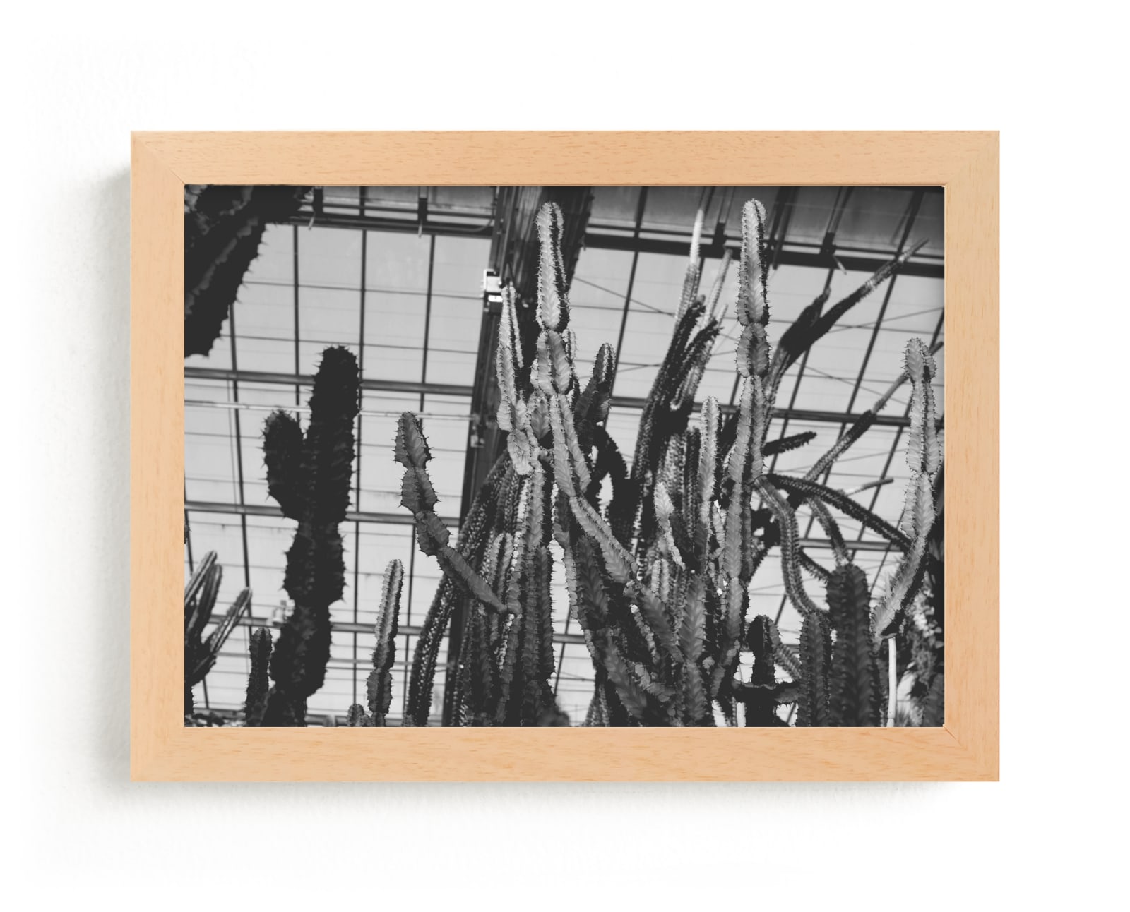 "Cactus Courtney" by Katie Short in beautiful frame options and a variety of sizes.