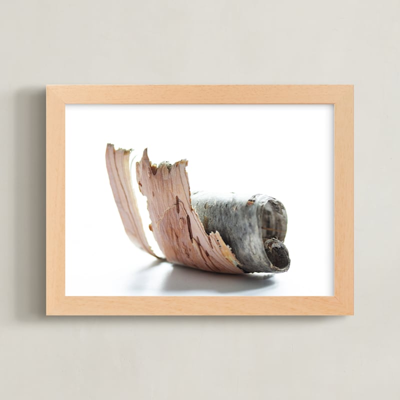 "Birch Rolled" by Alexis Arnold in beautiful frame options and a variety of sizes.