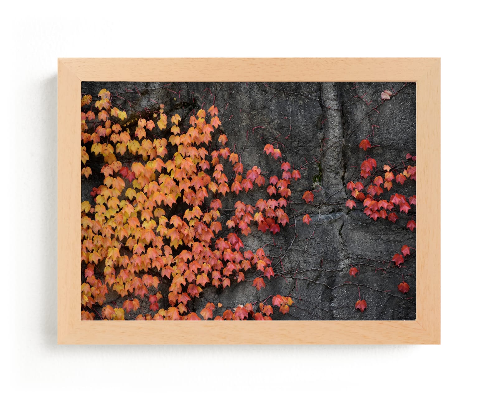 "Fall Wall" by Johanna Phillips Huuva in beautiful frame options and a variety of sizes.