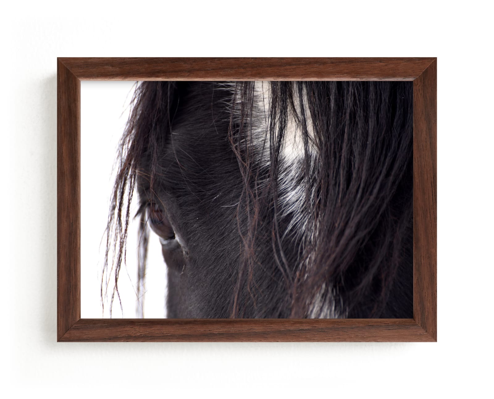 "Bucker" - Limited Edition Art Print by Leslie Le Coq in beautiful frame options and a variety of sizes.