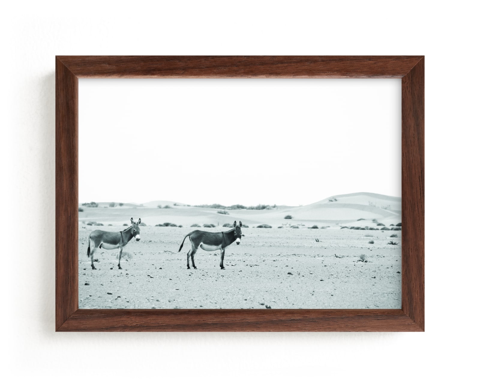 "We live here" - Limited Edition Art Print by Claudia Orengo in beautiful frame options and a variety of sizes.