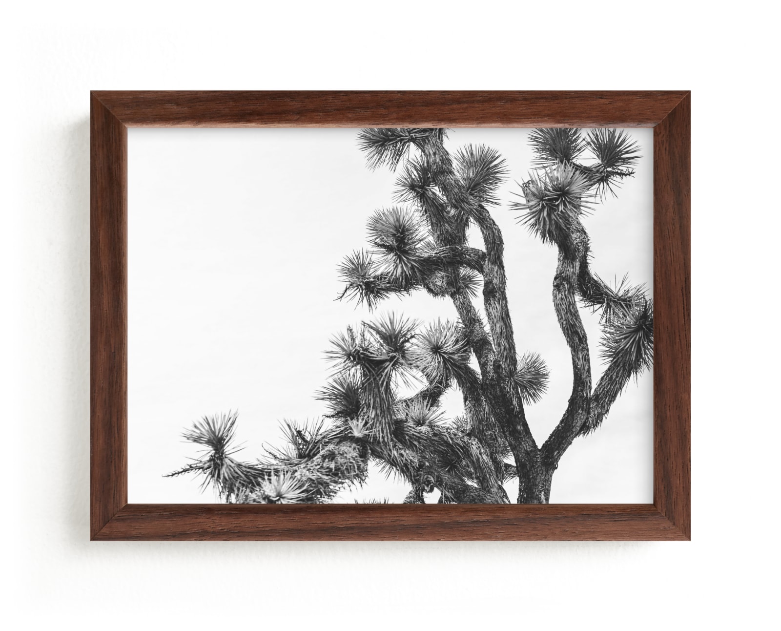 "Joshua Tree in September" - Limited Edition Art Print by Katie Doherty in beautiful frame options and a variety of sizes.