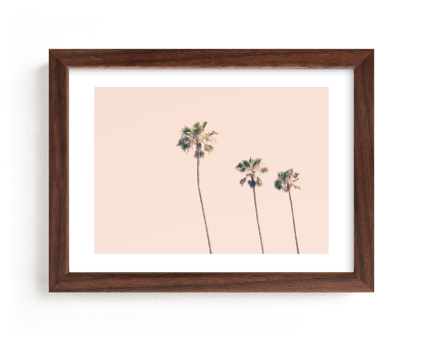 "Pink Sky & Palms" - Limited Edition Art Print by Caroline Mint in beautiful frame options and a variety of sizes.