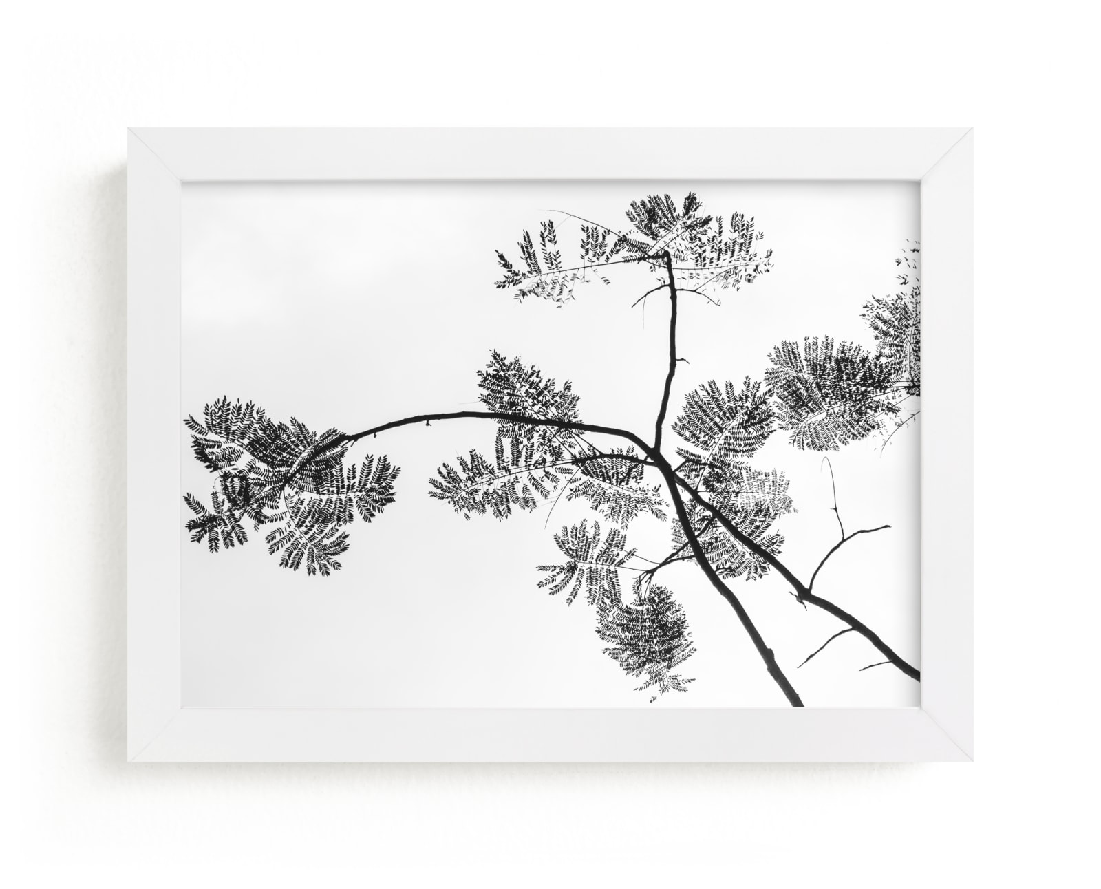 "Botanical Silhouette" - Limited Edition Art Print by Kaitlin Rebesco in beautiful frame options and a variety of sizes.