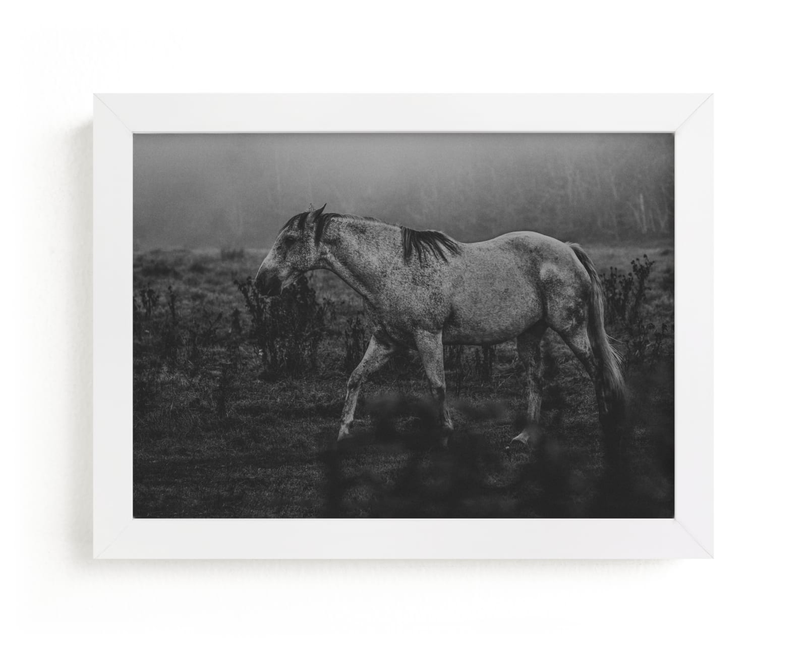"Frolicking Fille" - Limited Edition Art Print by Hollie Renner Photography in beautiful frame options and a variety of sizes.