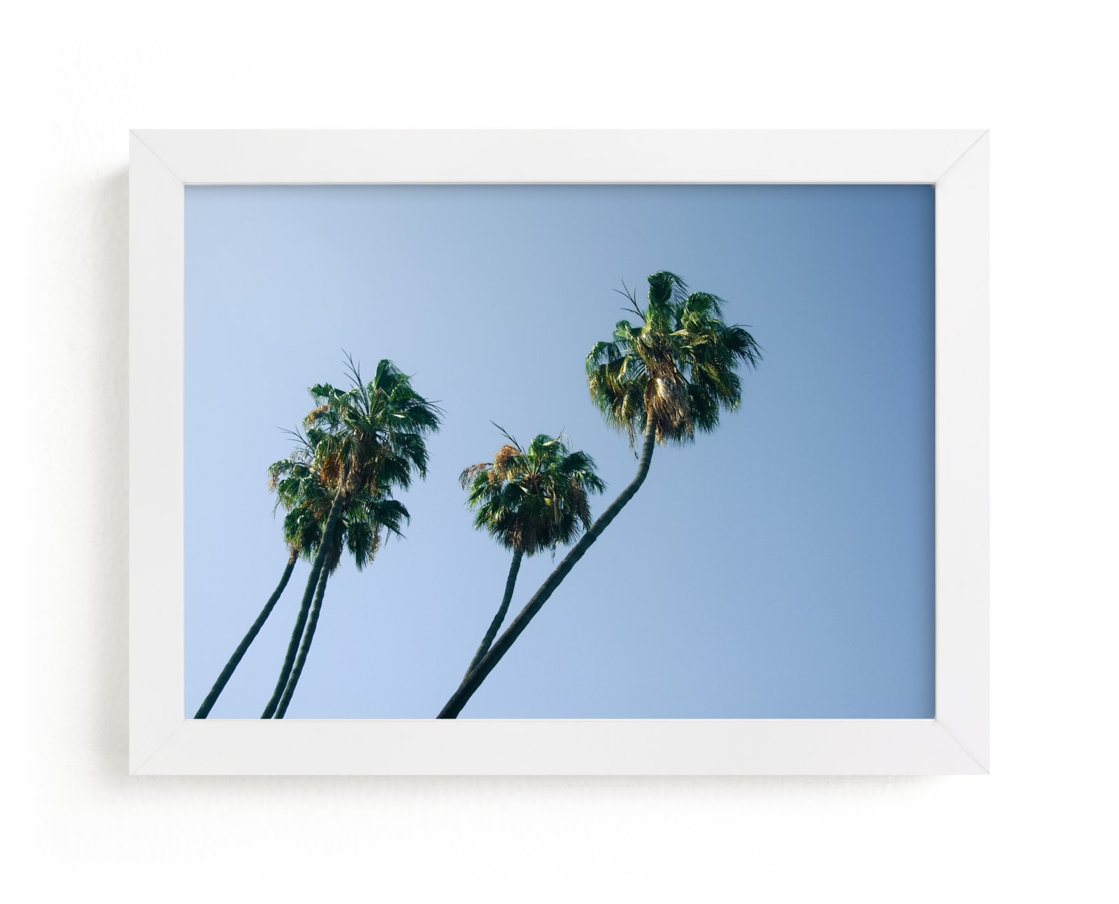 "Palm Lean" - Limited Edition Art Print by Kitty Seeber in beautiful frame options and a variety of sizes.