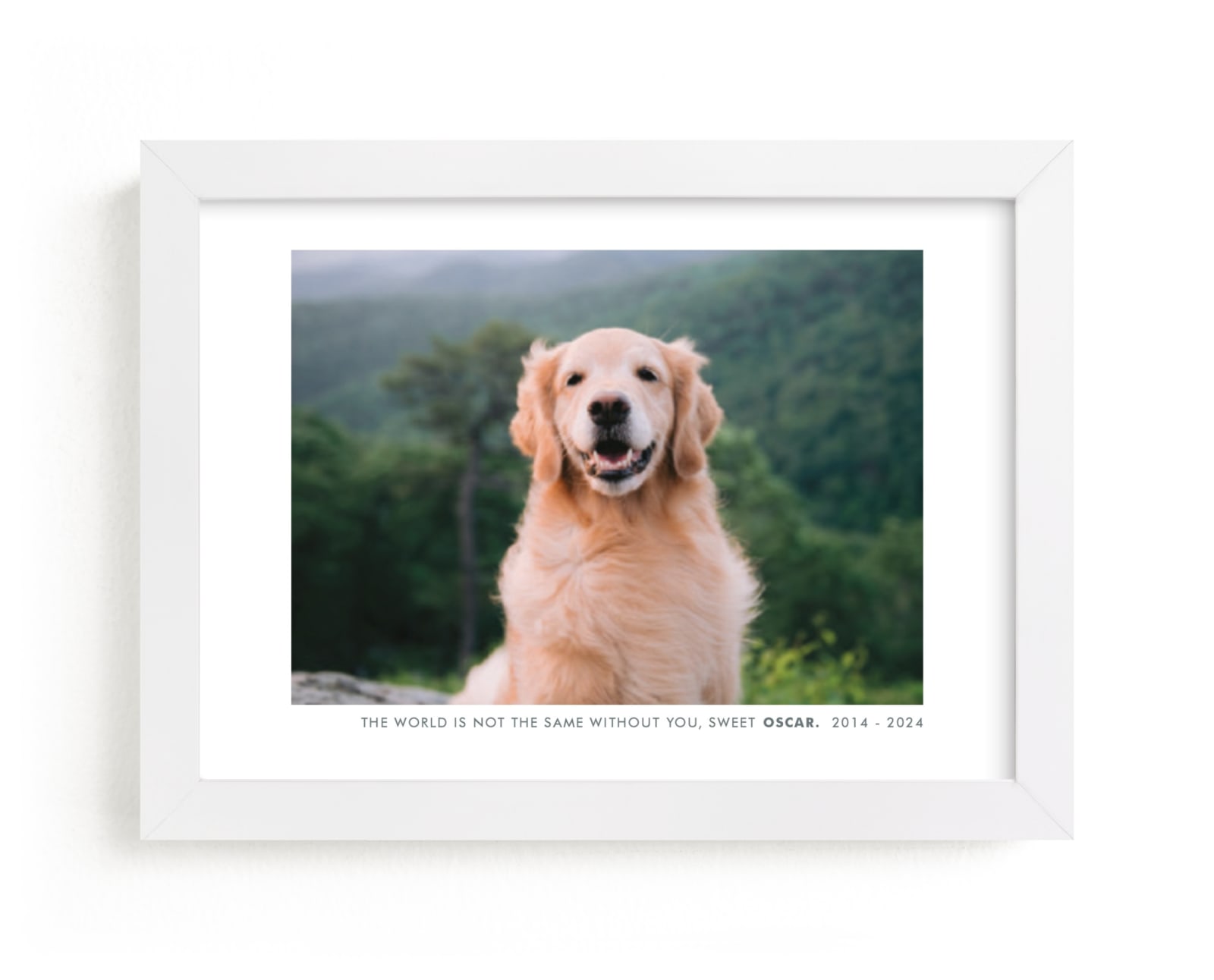 "Without You" - Custom Photo Art by Sara Hicks Malone in beautiful frame options and a variety of sizes.