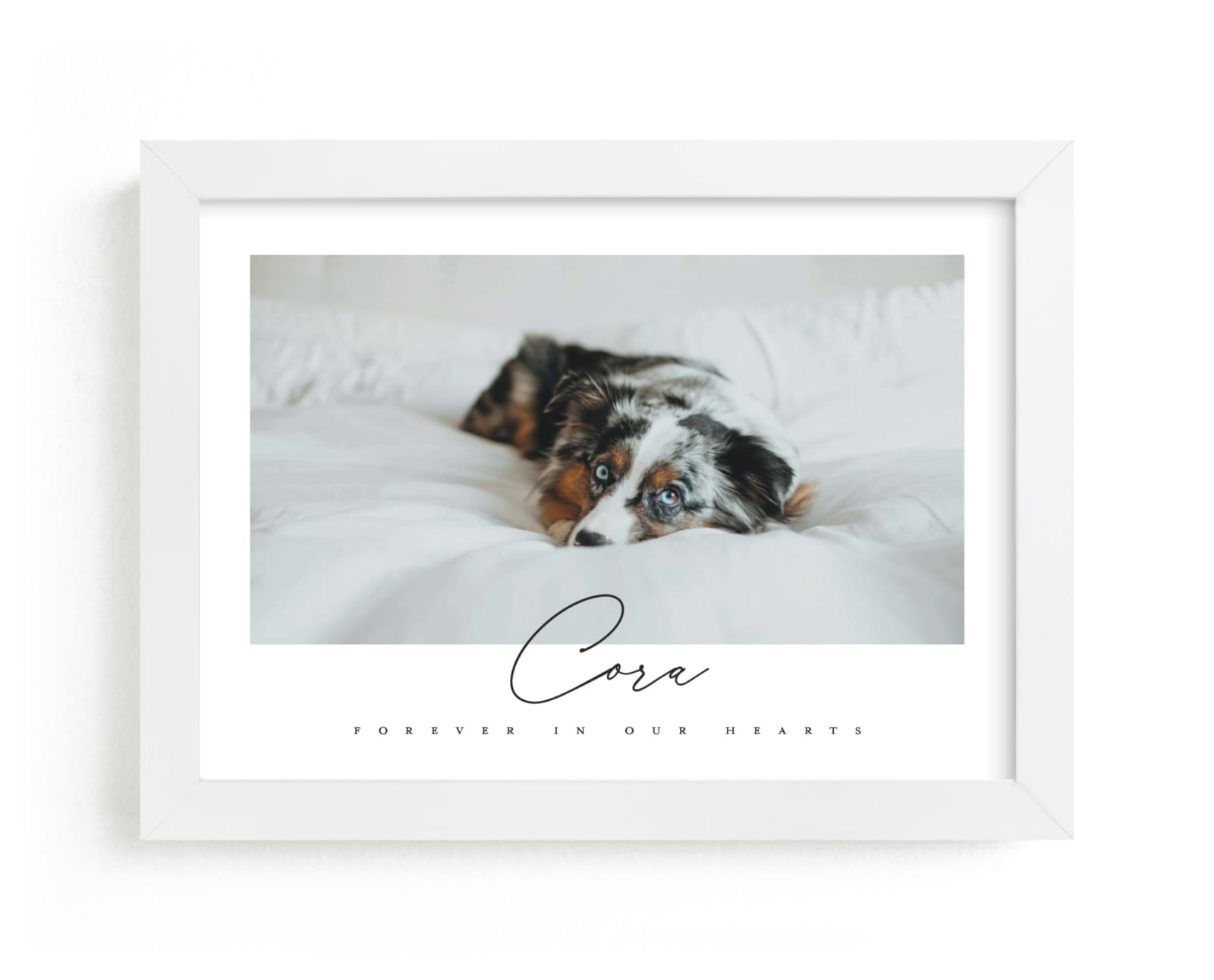 "Cora" - Custom Photo Art by Erin L. Wilson in beautiful frame options and a variety of sizes.