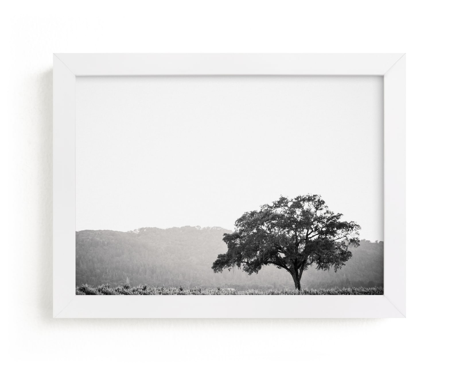 "Wild Oak" - Limited Edition Art Print by Lindsay Ferraris Photography in beautiful frame options and a variety of sizes.