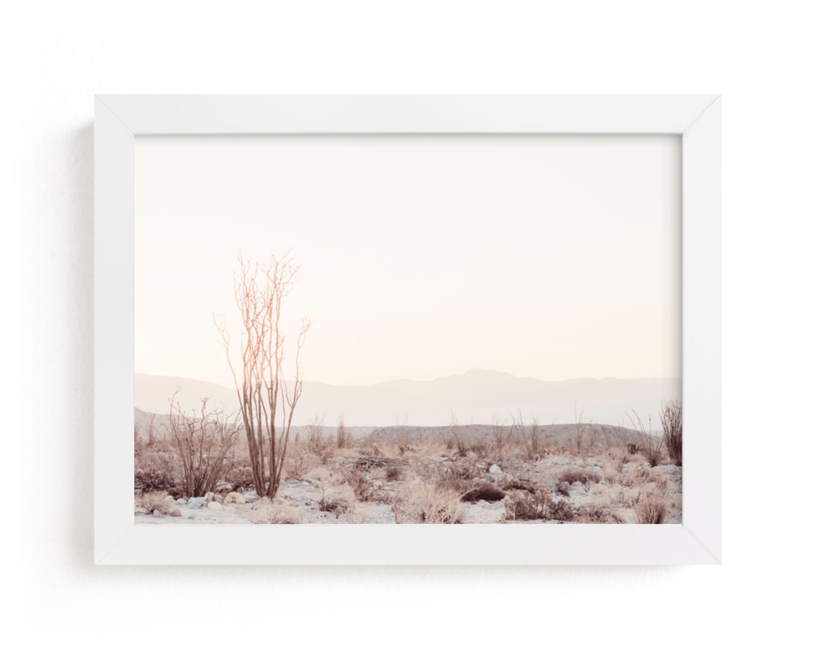 "Ocotillo II" - Limited Edition Art Print by Kamala Nahas in beautiful frame options and a variety of sizes.