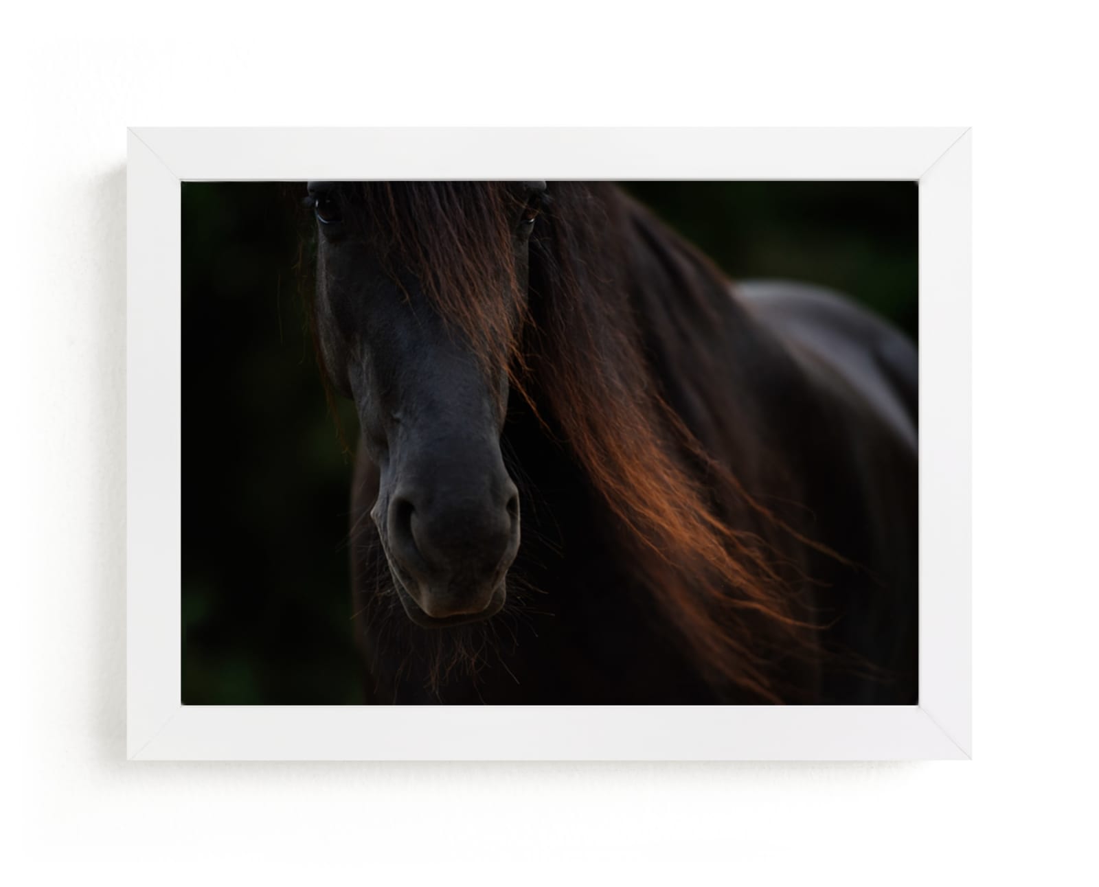 "Rocinante" - Limited Edition Art Print by Amy Carroll in beautiful frame options and a variety of sizes.