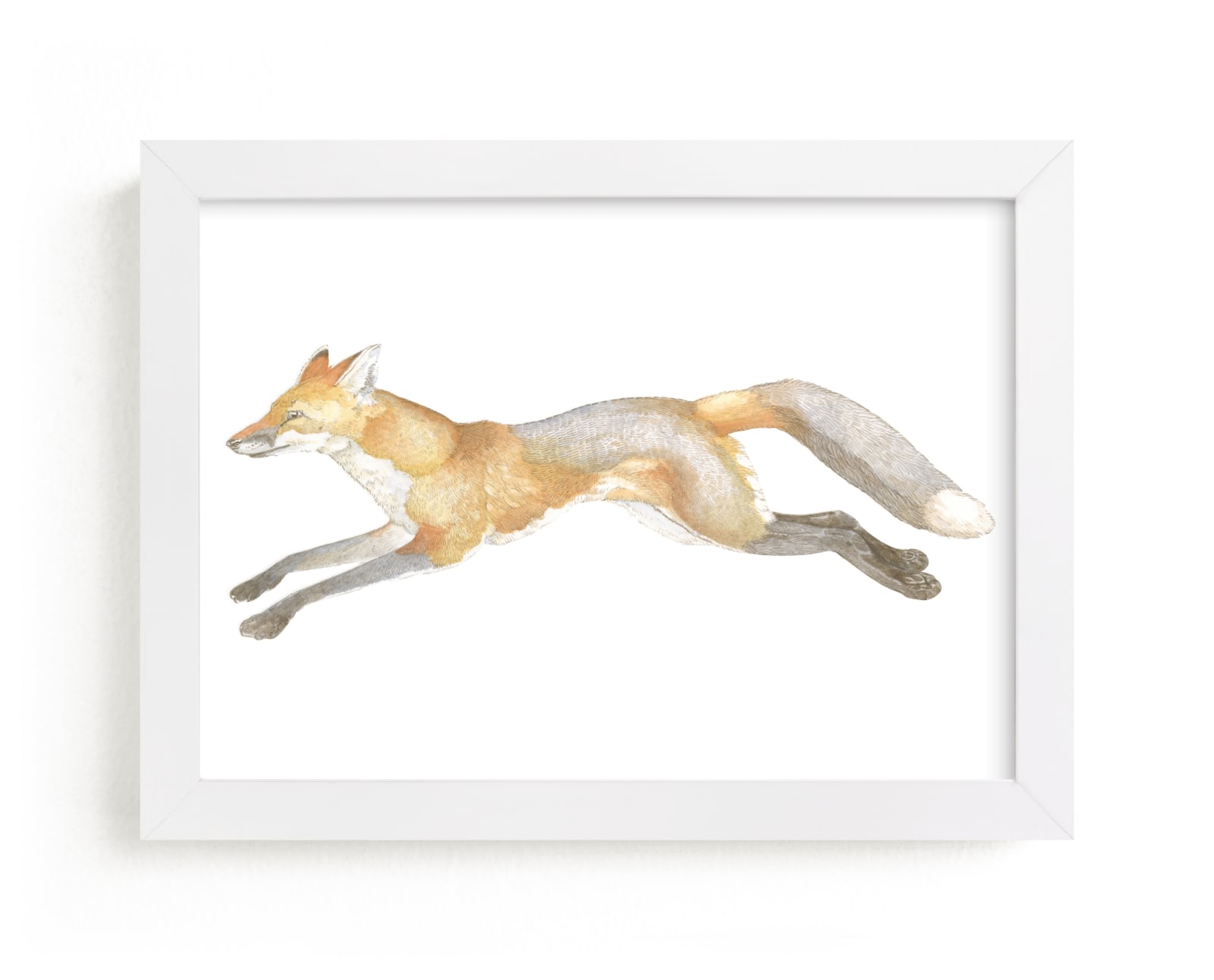 "Swift Fox" - Limited Edition Art Print by Natalie Groves in beautiful frame options and a variety of sizes.