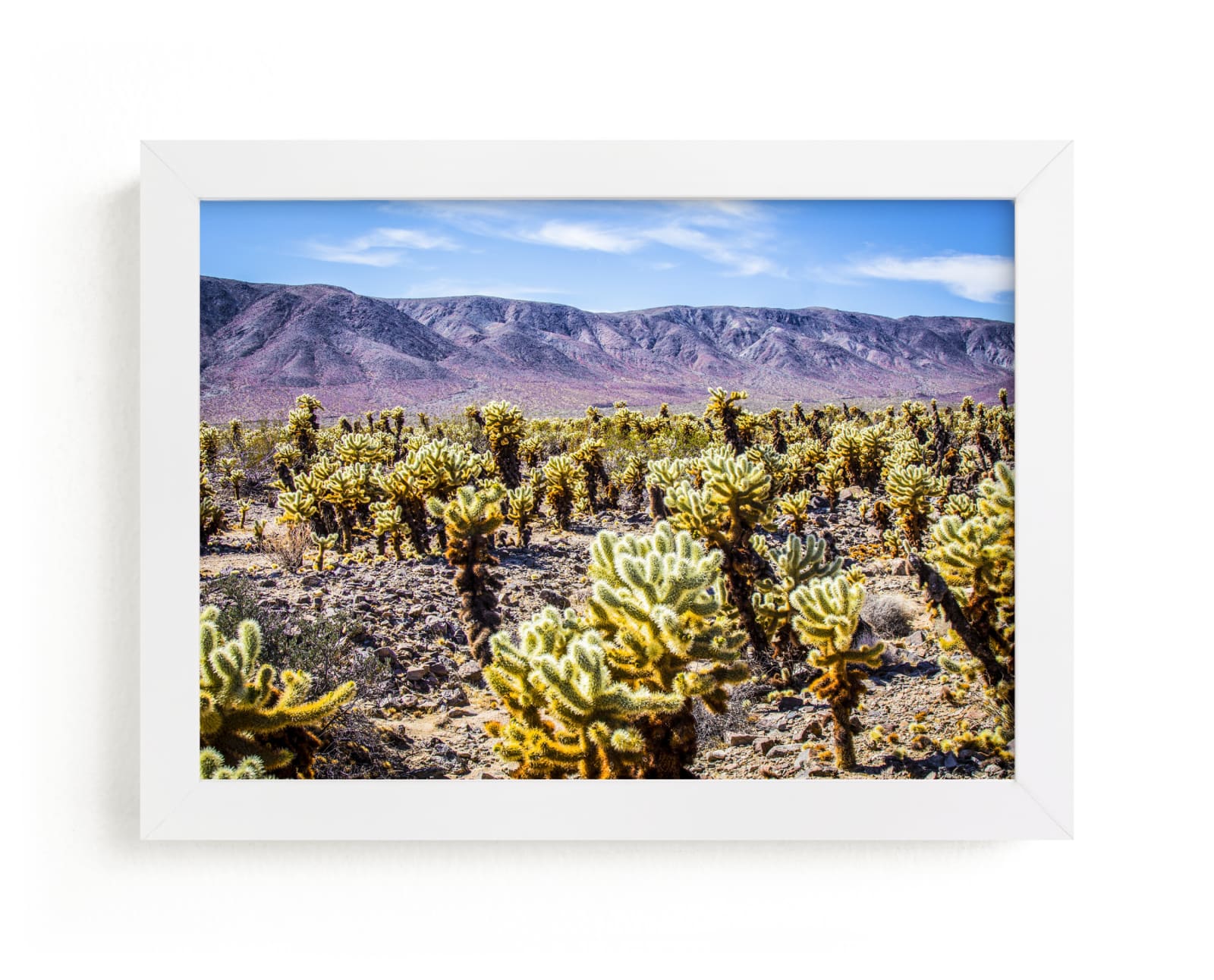 "Desert Daydream" - Limited Edition Art Print by Kate Baird in beautiful frame options and a variety of sizes.