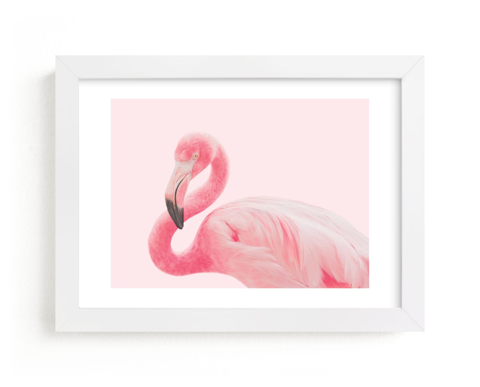 "Flamingo Portrait III" - Limited Edition Art Print by Rega in beautiful frame options and a variety of sizes.