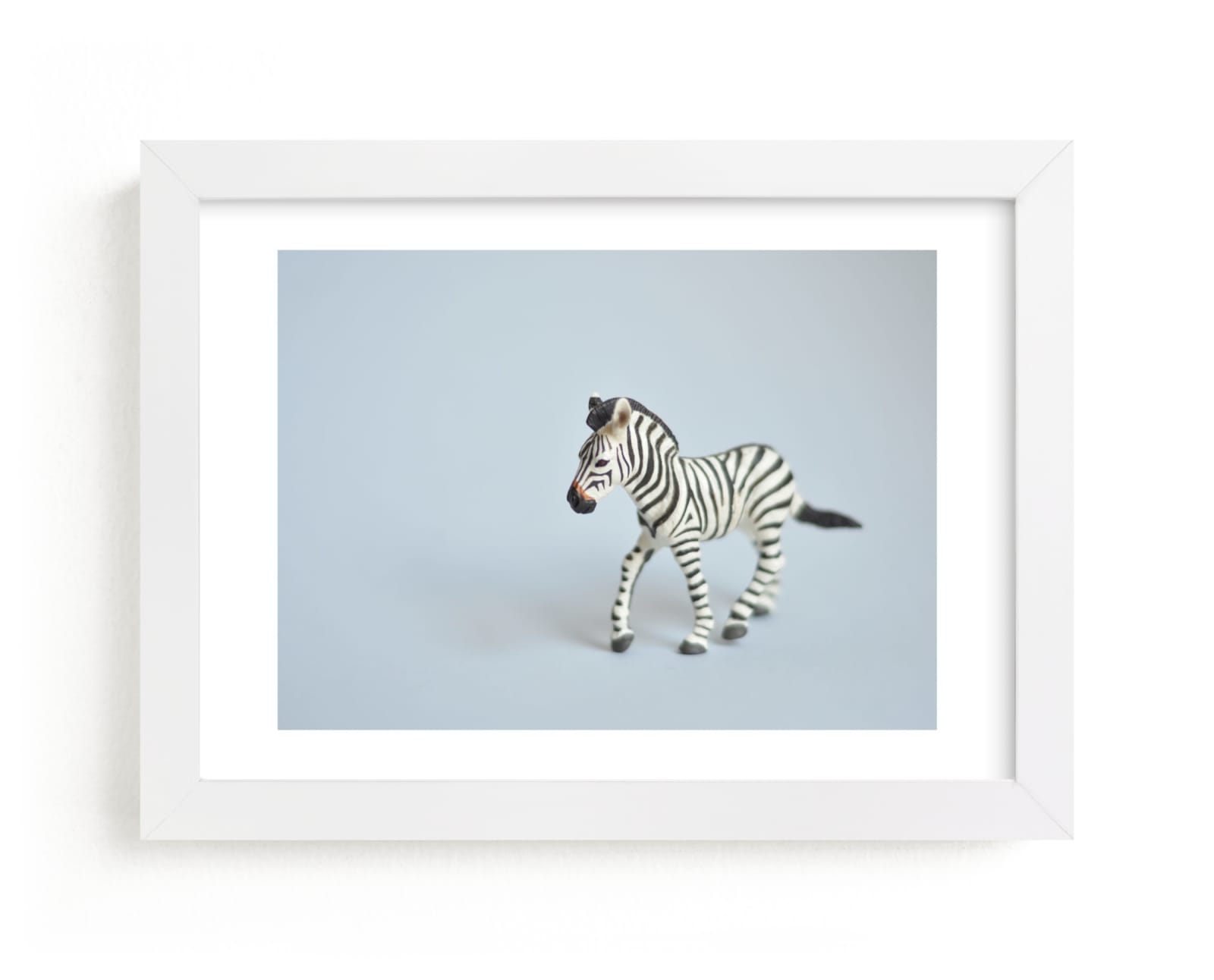 "Oh, Zebra" - Limited Edition Art Print by Kinga Subject in beautiful frame options and a variety of sizes.