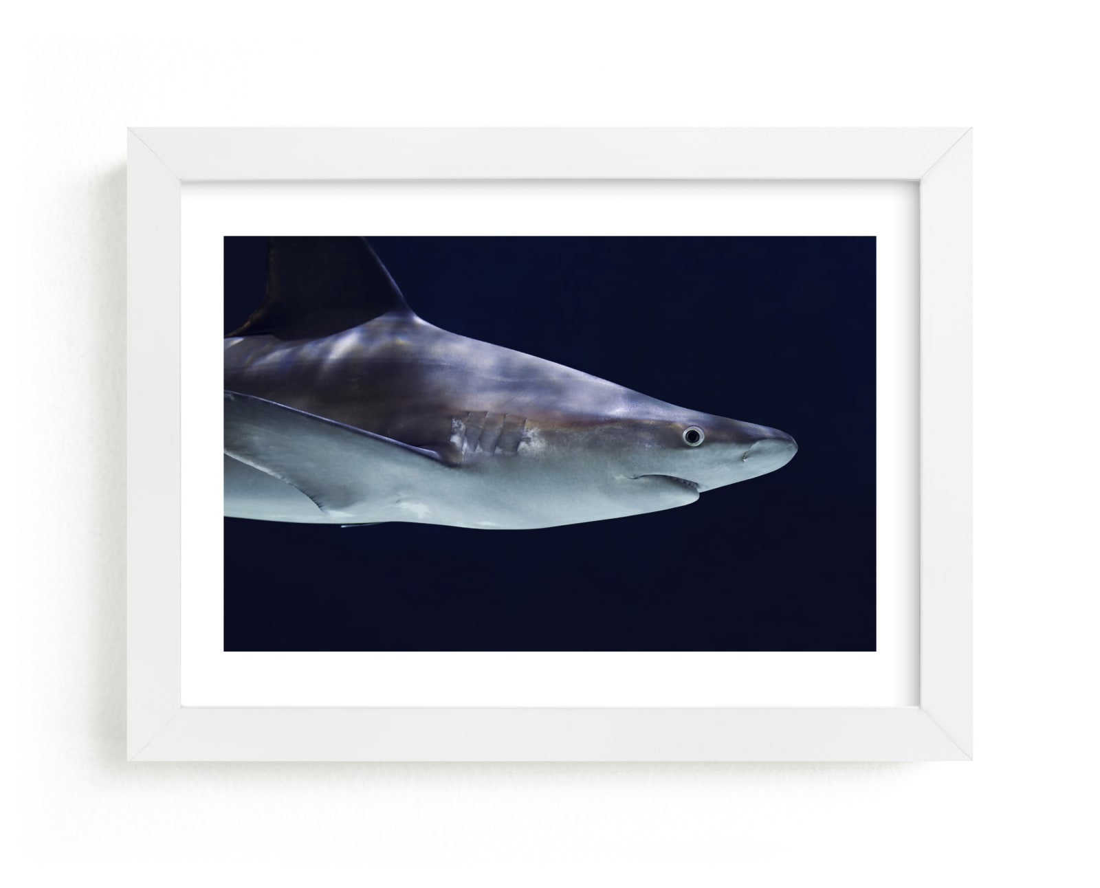 "Deep Blue" - Limited Edition Art Print by Hollie Renner Photography in beautiful frame options and a variety of sizes.