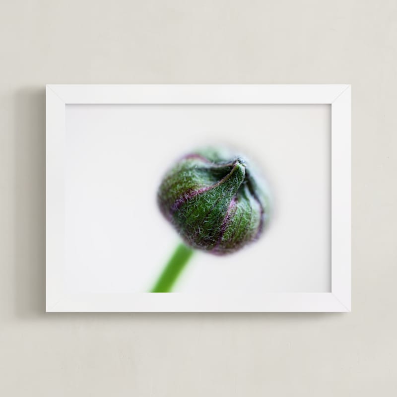 "Budding Ranunculus 1" - Art Print in green by Jessica Marchetti - Framed