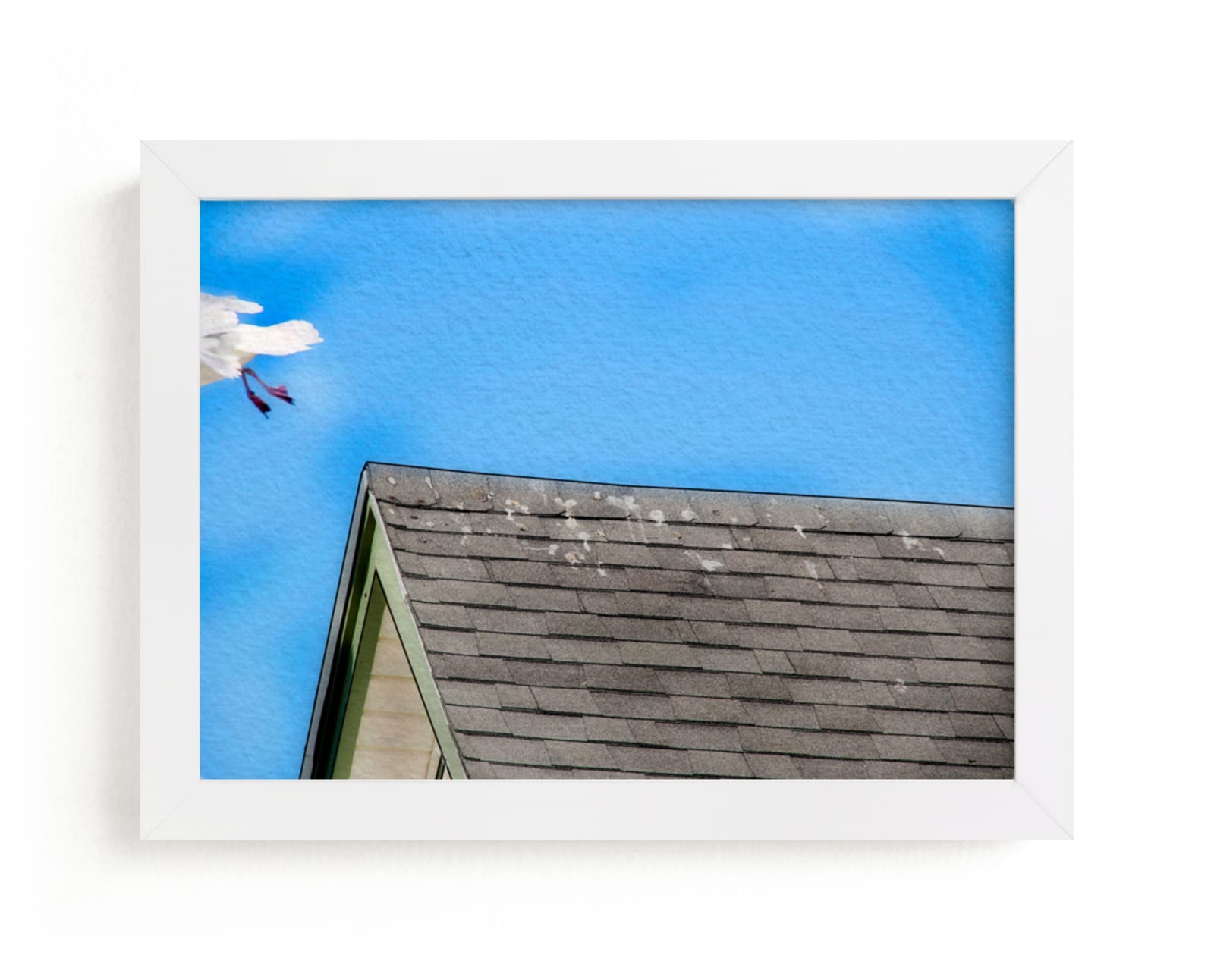"Seagull In Flight" - Art Print by Andy Mars in beautiful frame options and a variety of sizes.