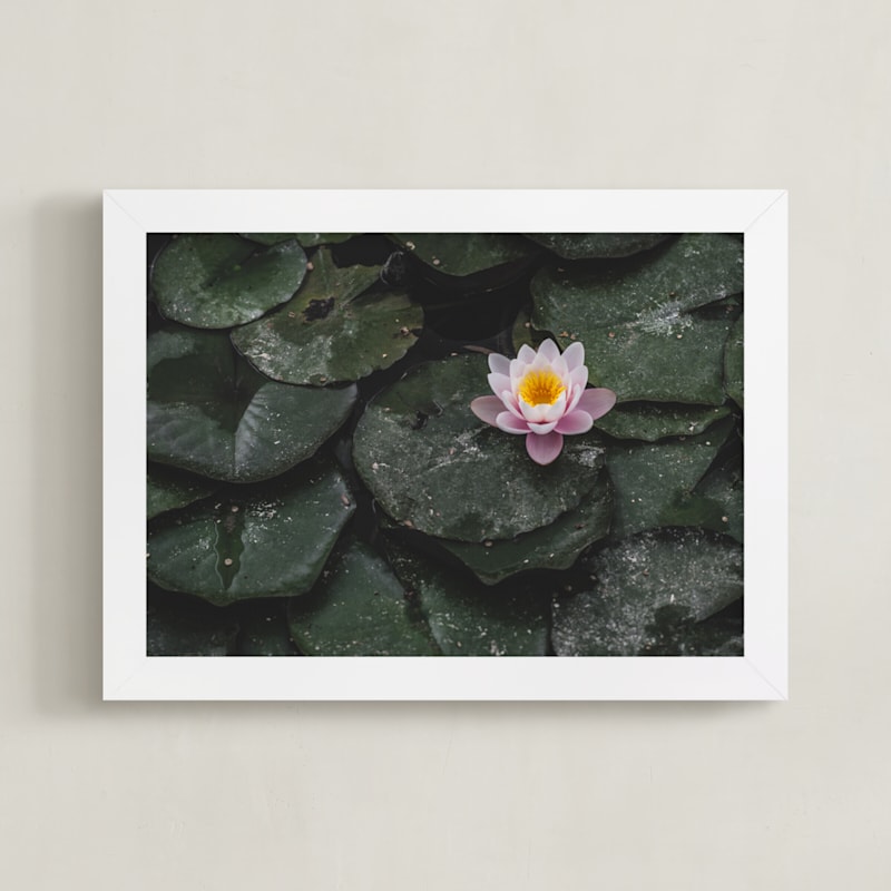 Flower 003