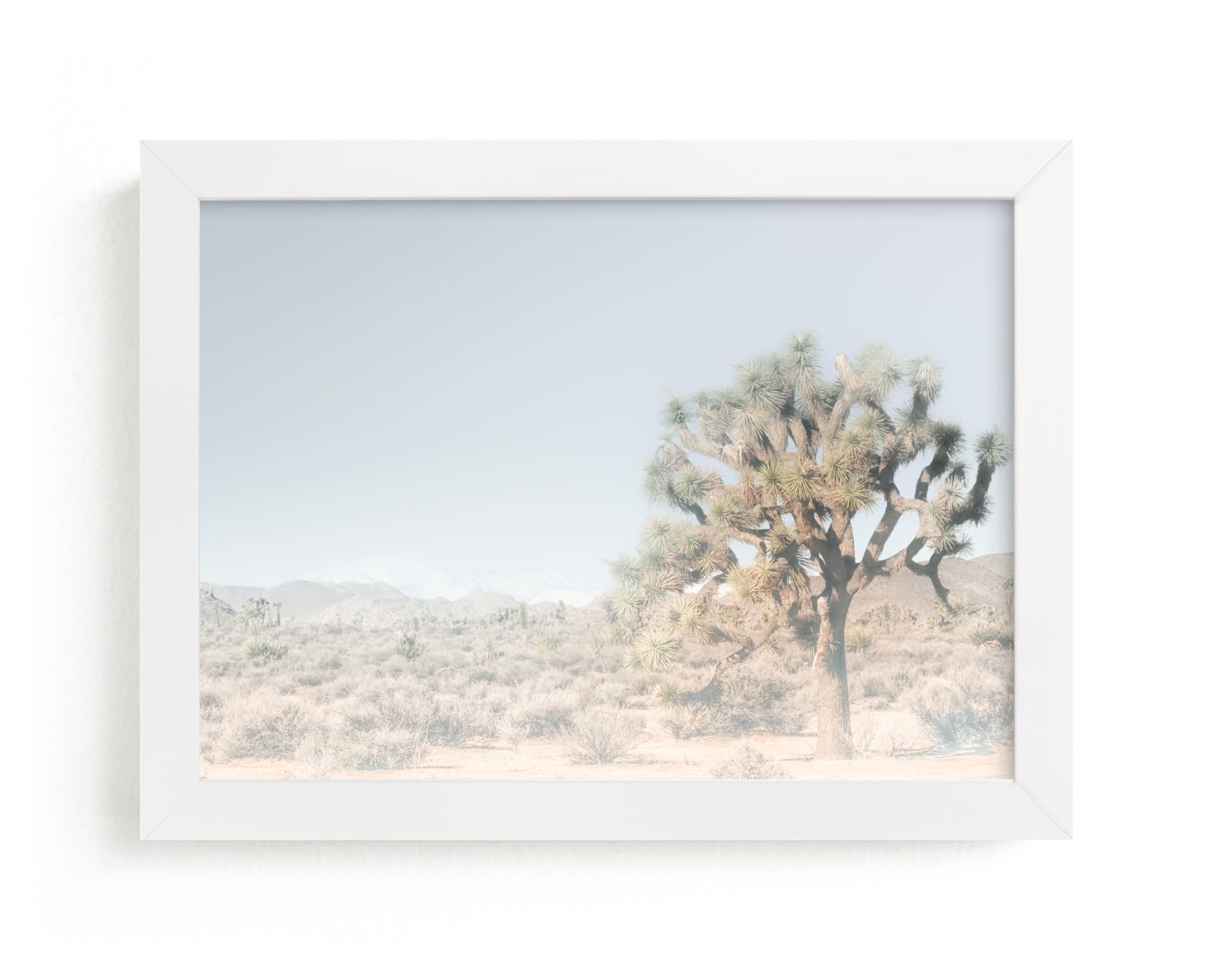 "Joshua Tree #1" - Art Print by Shannon Howard in beautiful frame options and a variety of sizes.