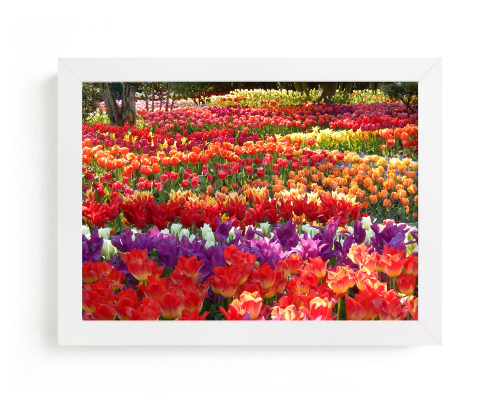 "Garden Full of Springtime" - Art Print by Jan Kessel in beautiful frame options and a variety of sizes.