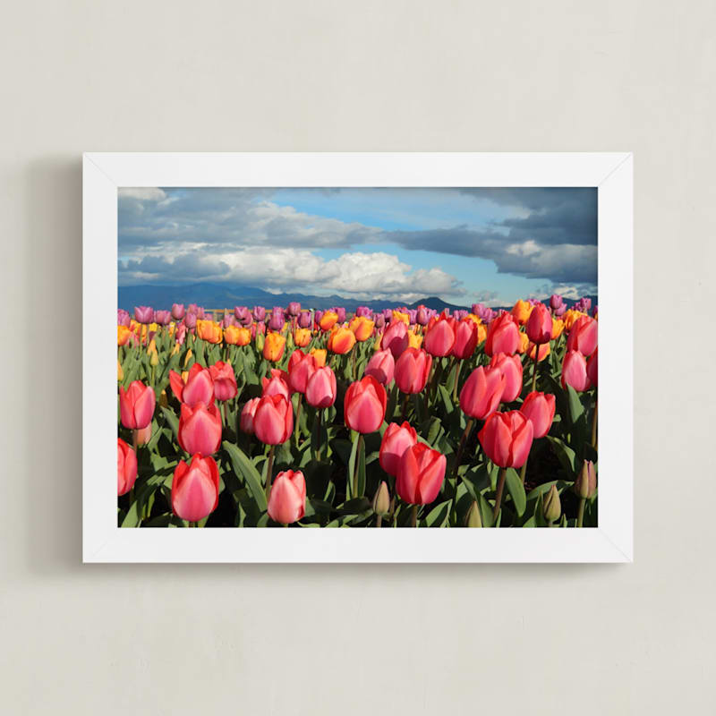 "Tulip Gardens" - Art Print by Jan Kessel in beautiful frame options and a variety of sizes.