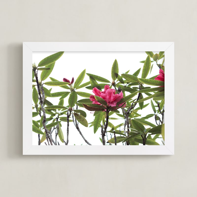 "SPRING TIME IN BLOOM, GOLDEN GATE PARK." - Art Print in Pashion Flower by Thom.Club - Framed
