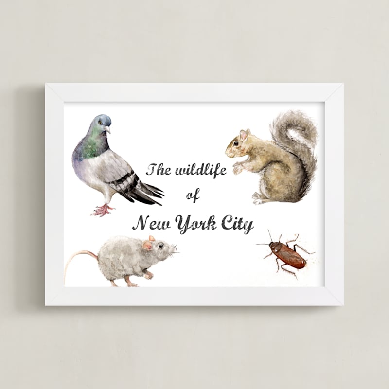 The Wildlife of NYC