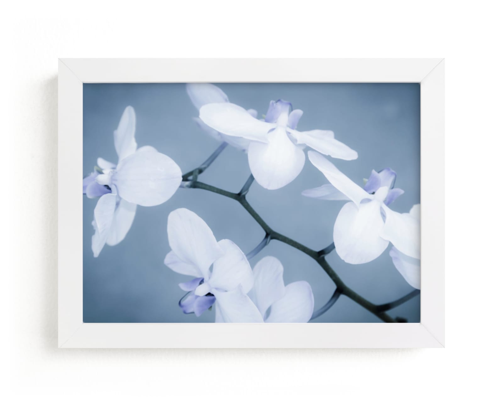 "Orchids In Flight" - Art Print by Debra Butler in beautiful frame options and a variety of sizes.