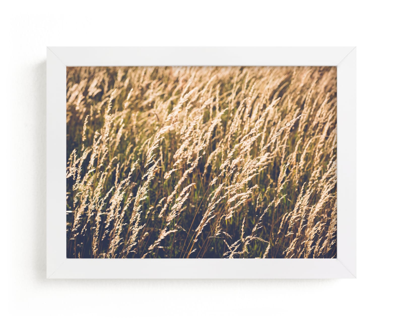 "Yellow meadow" - Art Print by Lying on the grass in beautiful frame options and a variety of sizes.