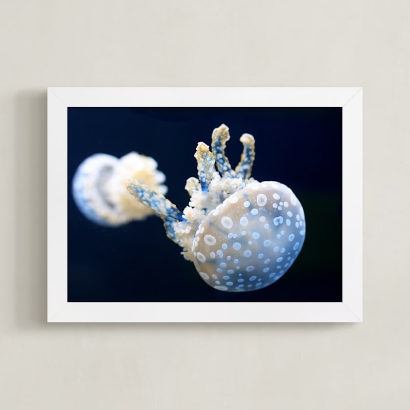 Blue and White Jellyfish