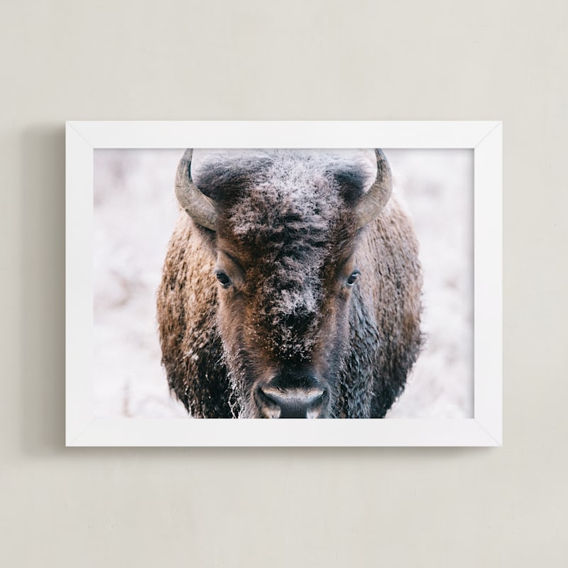 Where the Buffalo Roam