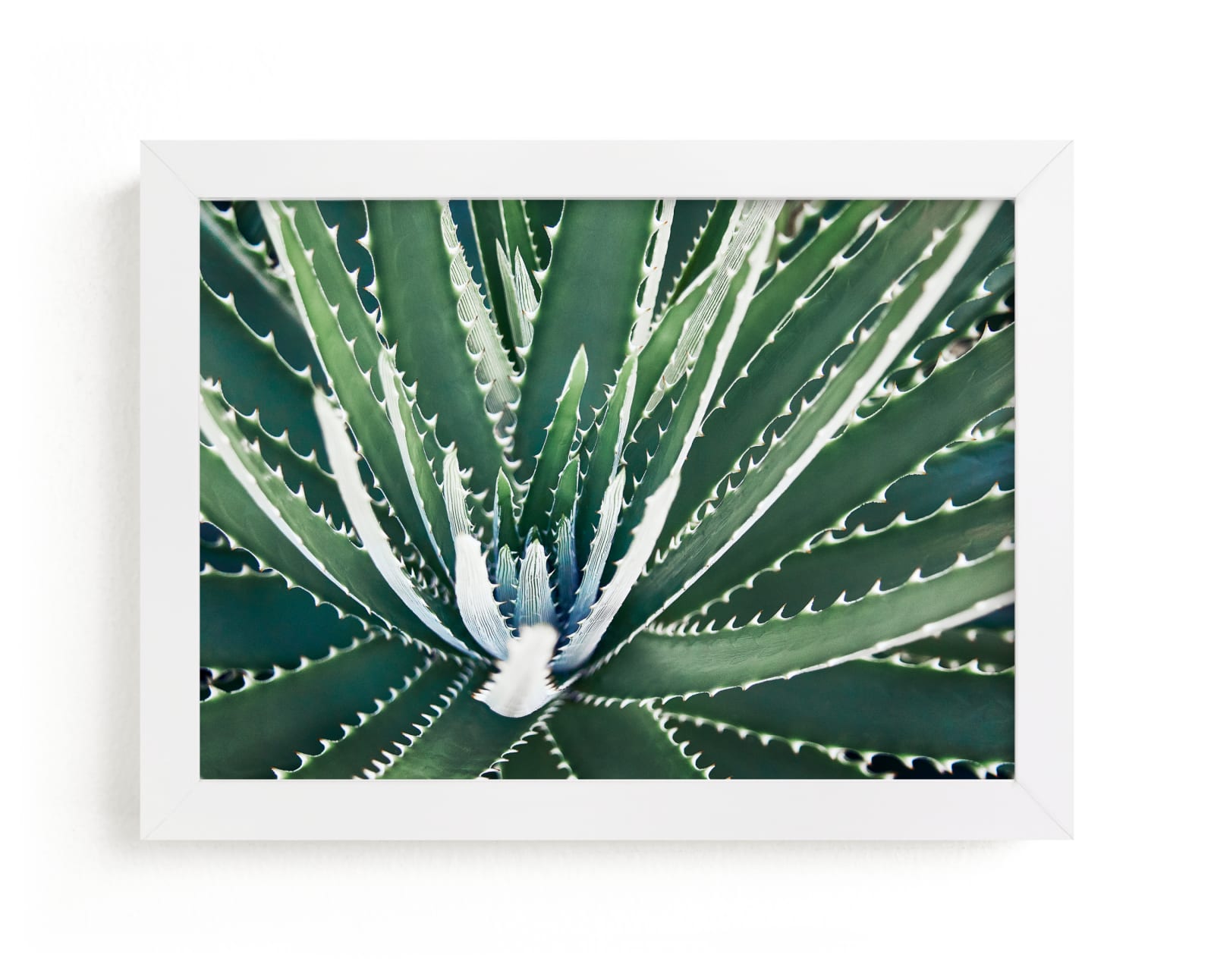 "Botanical VIIII" by Whitley Williams in beautiful frame options and a variety of sizes.